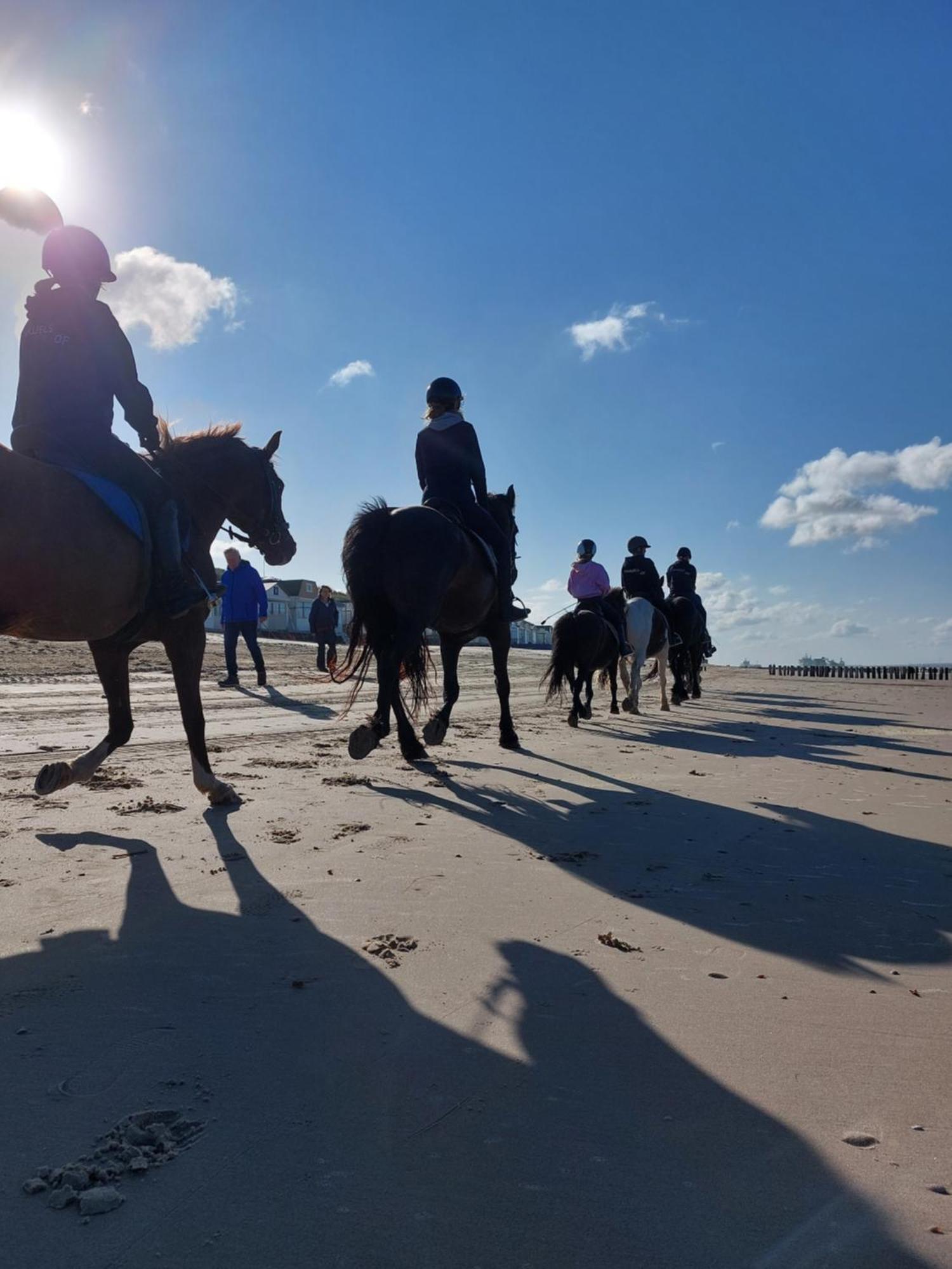 Strandcamping Valkenisse
